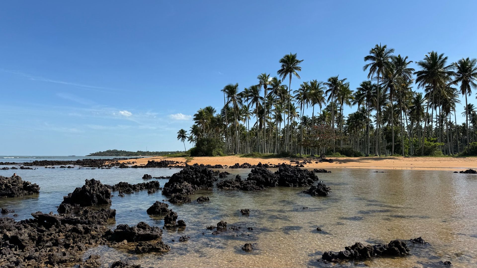Praia de Santa Cruz com coqueiros e areia dourada sob céu azul