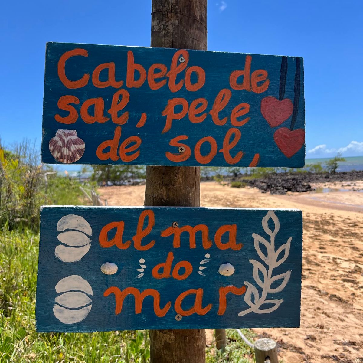 Placas de madeira pintadas à mão na praia: “Cabelo de sal, pele de sol” e “alma do mar”